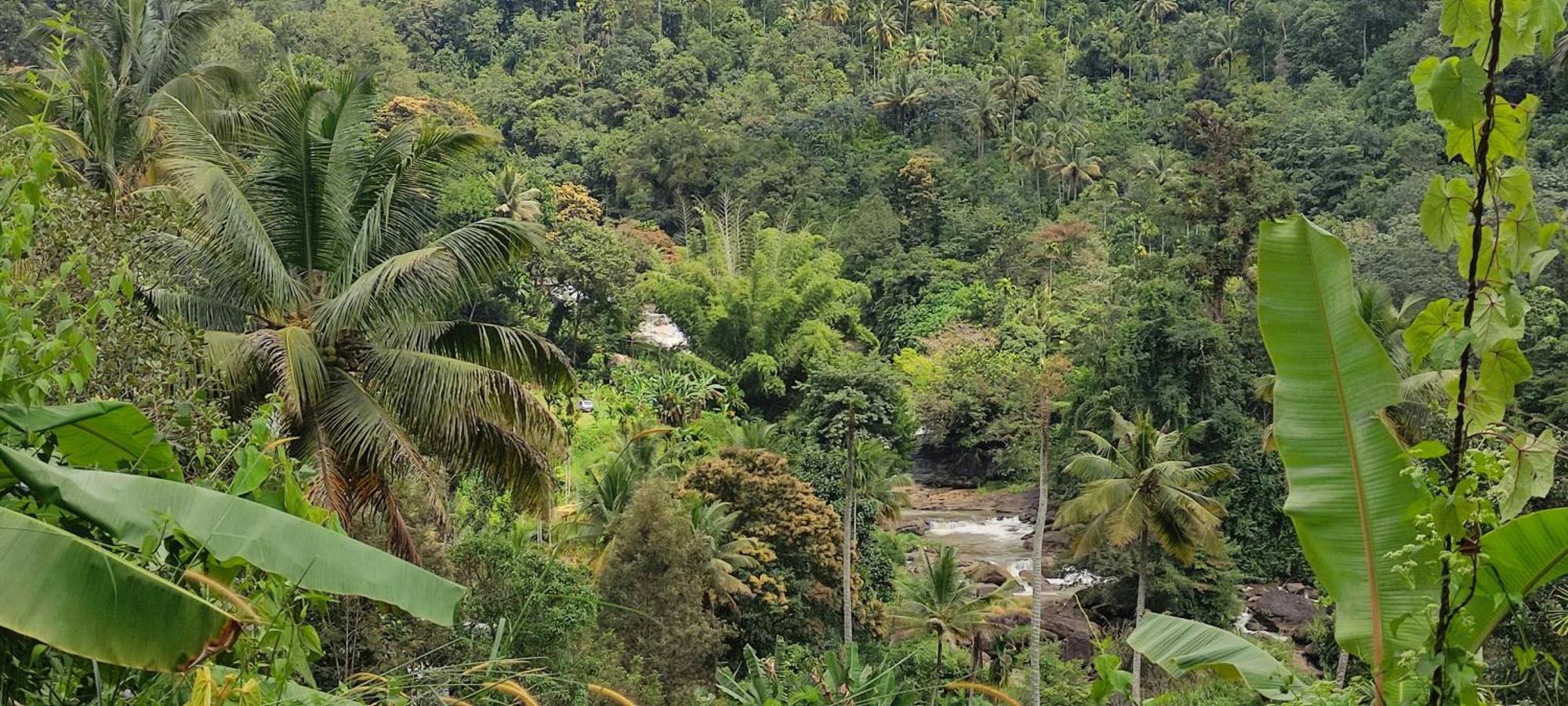 Munnar Village Homes Exteriör bild