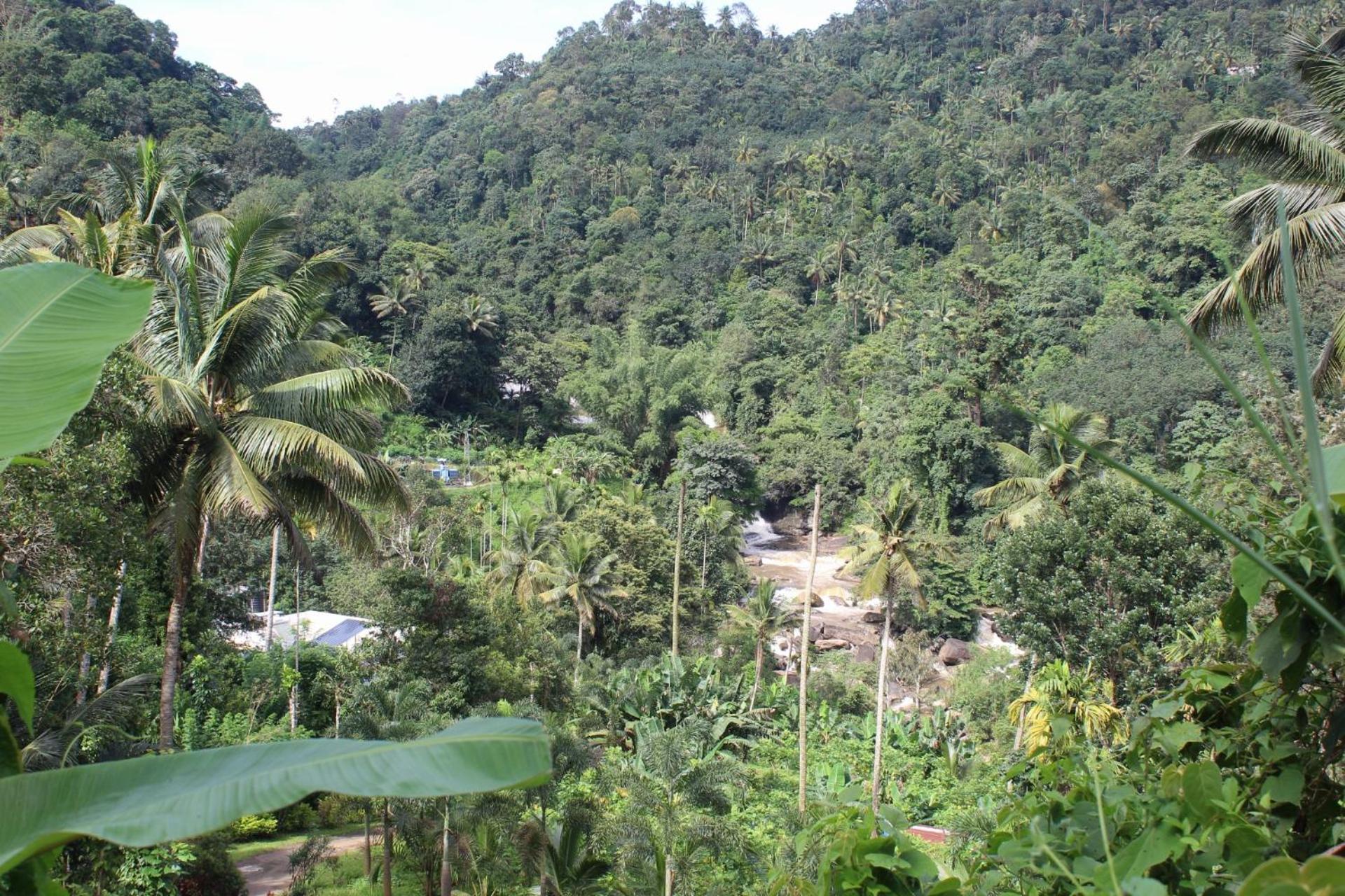Munnar Village Homes Exteriör bild