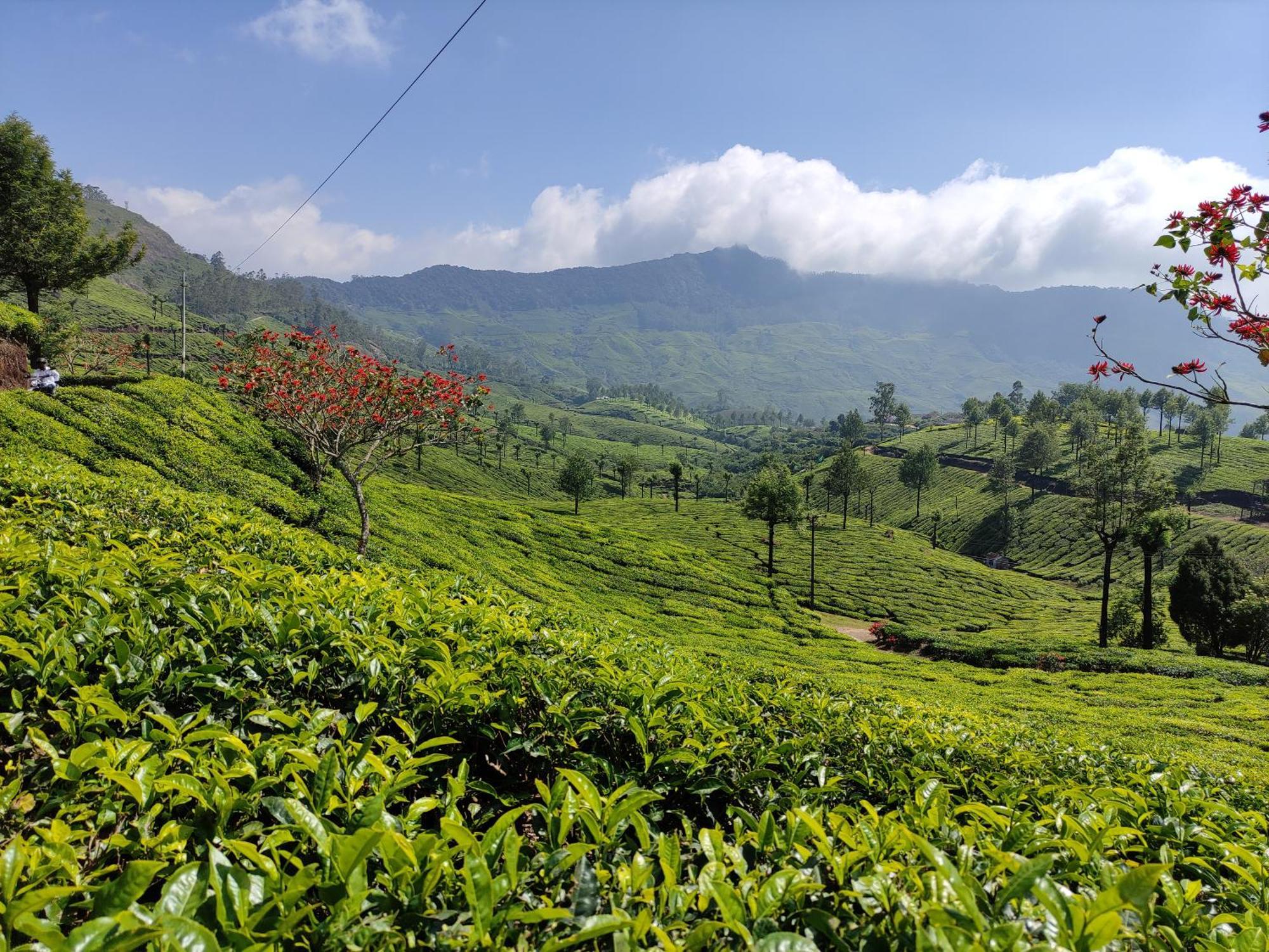 Munnar Village Homes Exteriör bild